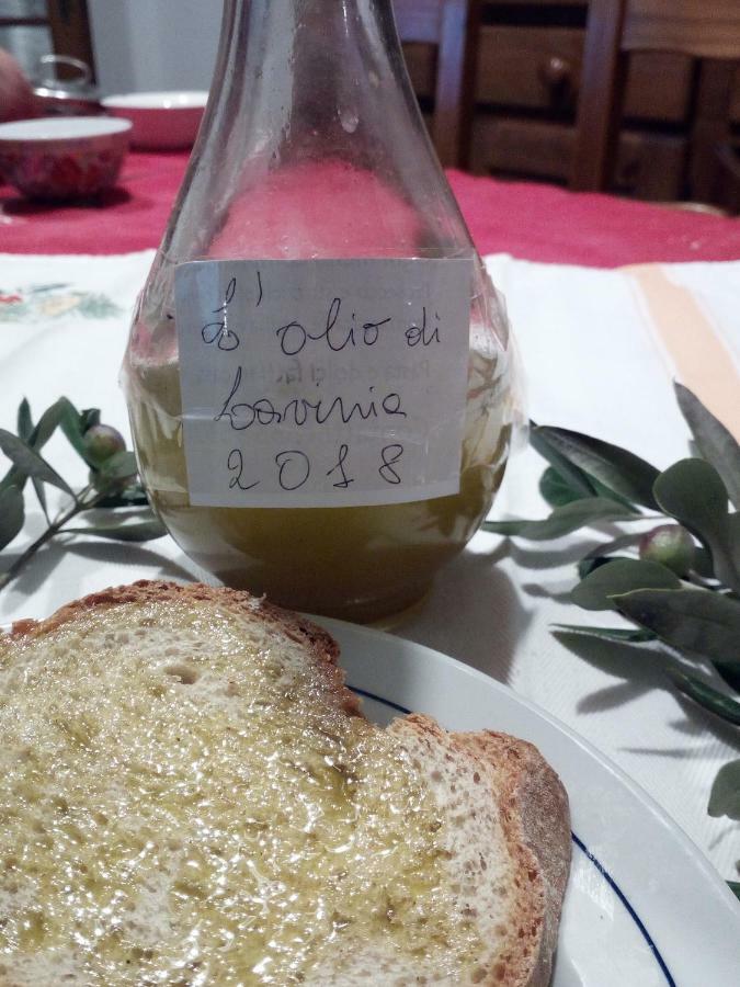 콰라타 A Casa Di Lavinia 아파트 외부 사진